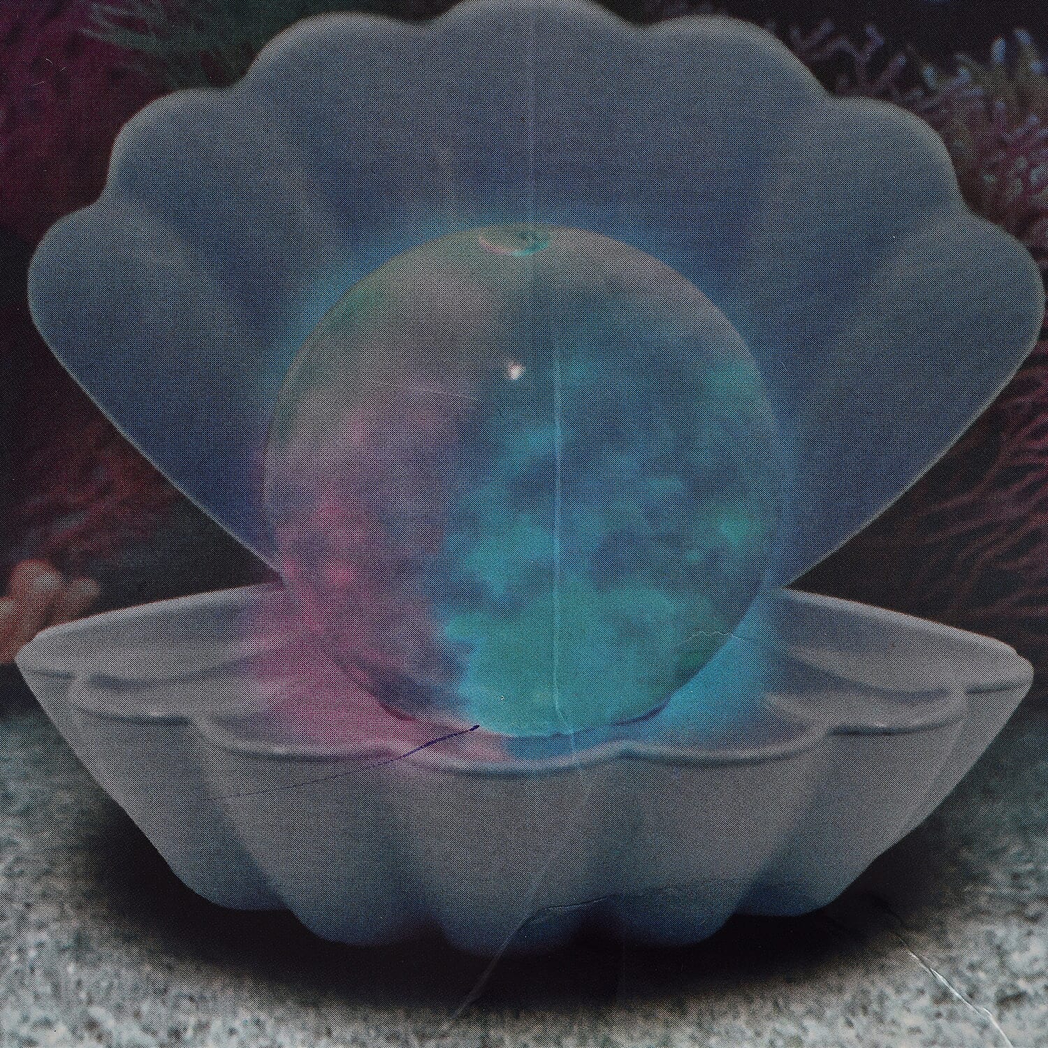 Sea Shell LED Colour Changing Glitter Mood Lamp with USB or Battery Powered 7283395 2