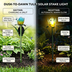 LIVMORE Solar Glass Flower Garden Stake (37cm) - Blue & Green