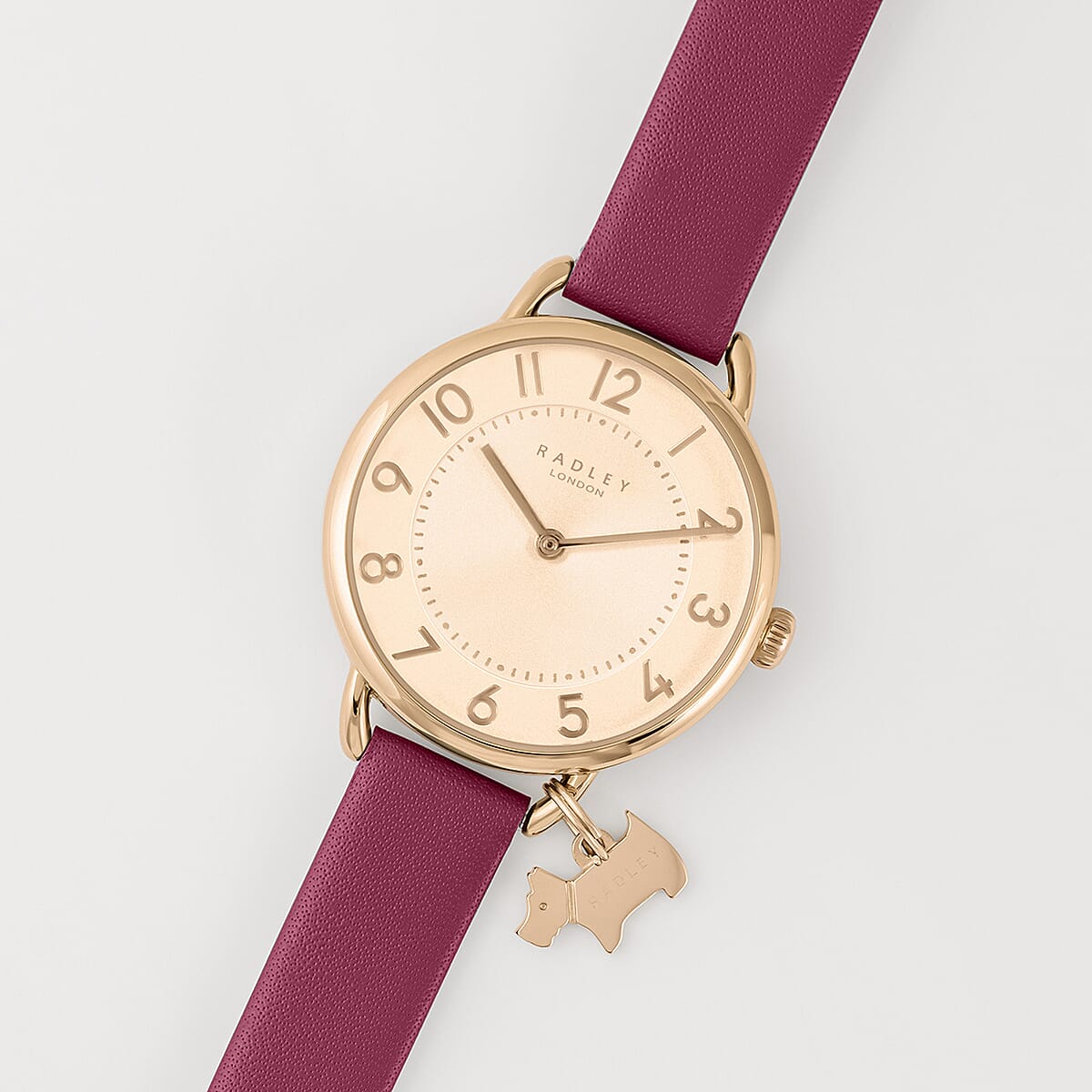 Radley Ladies Watch Set with 18ct Rose Gold Plated Fine Twist Slider Bracelet 4329614 3