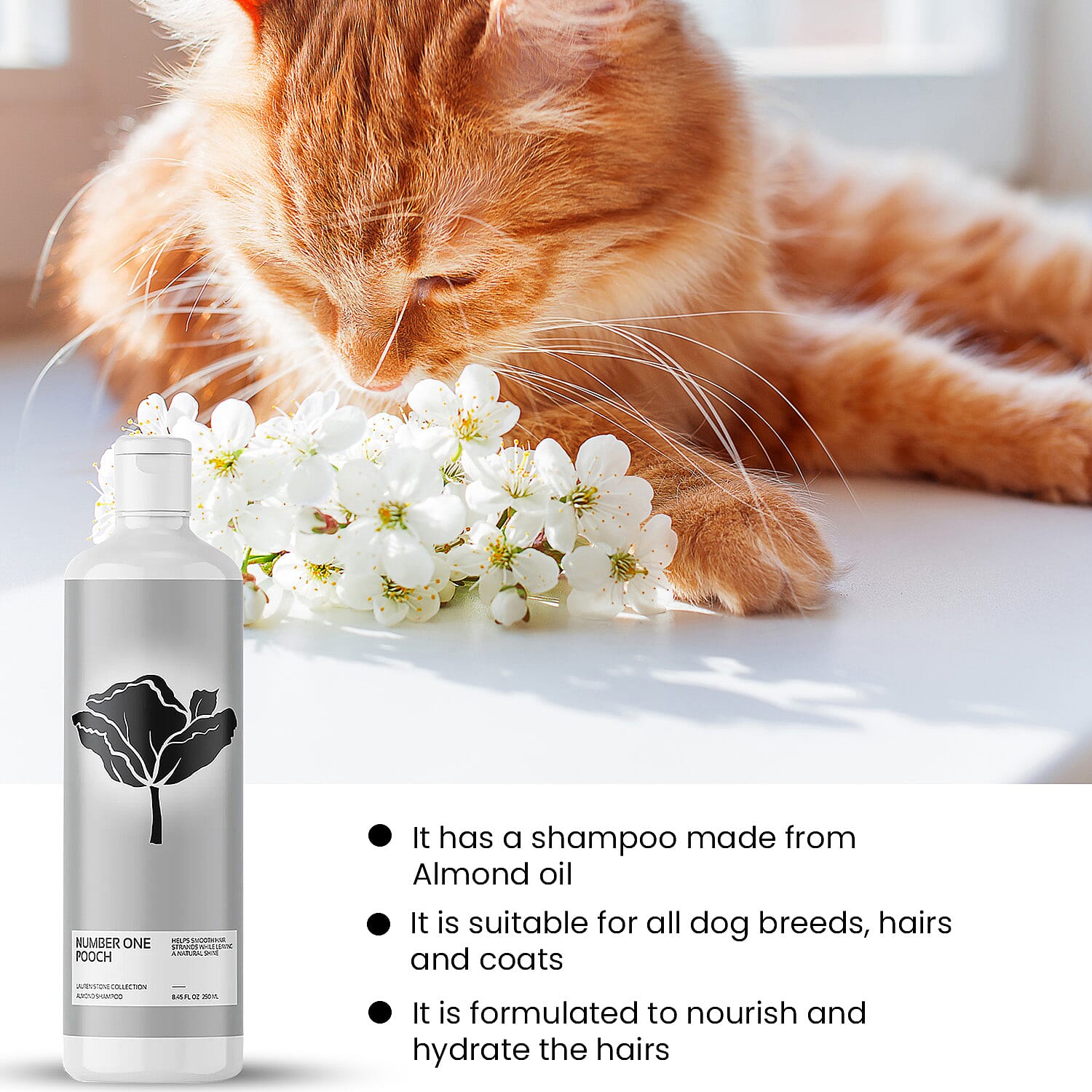 Lauren Stone Dog Shampoo - 250ml 7159482 3