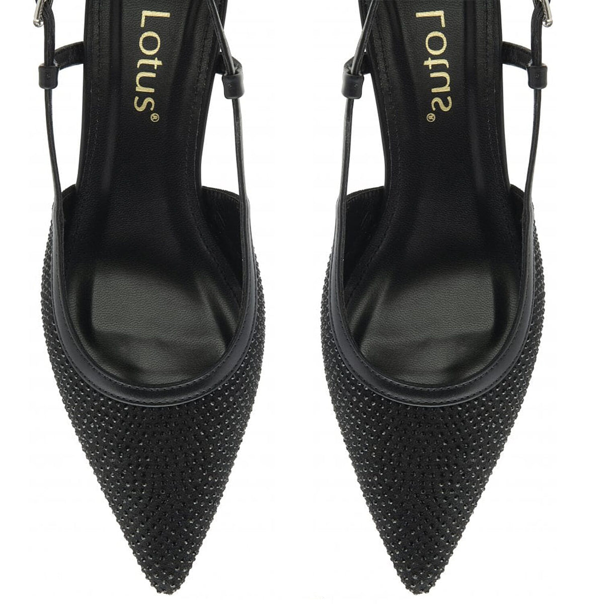 Lotus Bexley Slingback Pointed Toe Kitten Heel (Size 5) - Black V32521103 3