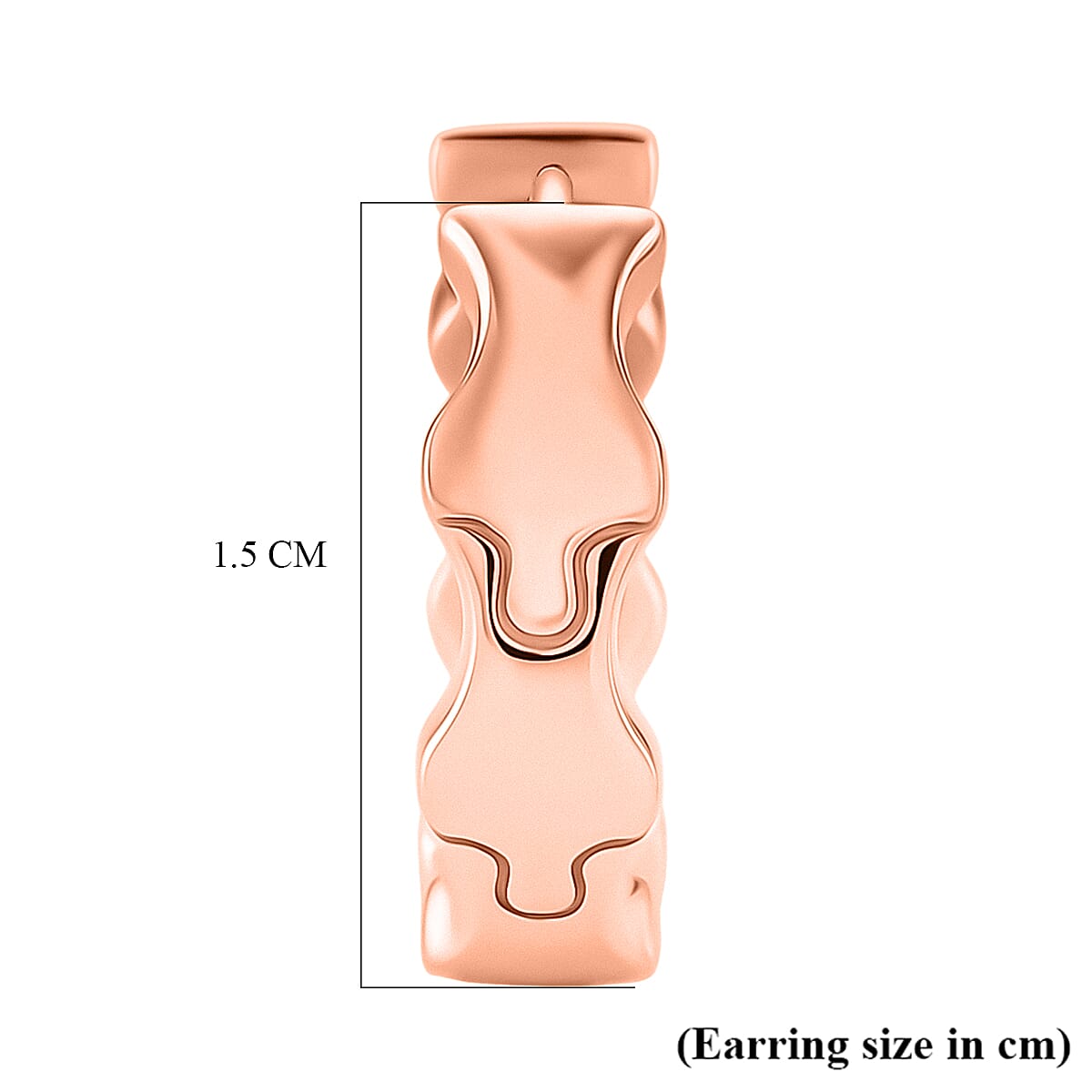 Lucy Q Hoop Earring in 18K Vermeil Rose Gold Plated Sterling Silver 8342110 5