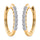 Hoop