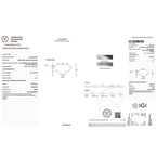 Luxuriant Diamond - IGI Certified Lab Grown Diamond (VS2-G) in Cushion Shape 3.00 Ct.