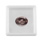 Morganite Oval Size Varies