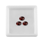 Mozambique Garnet Oval 7x5 mm