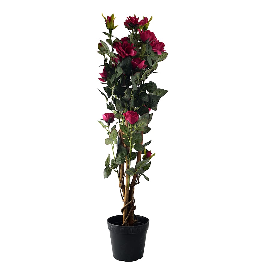 Multi-Stemmed Rose (Size 97x18 cm) - Dark Pink 7512908 0