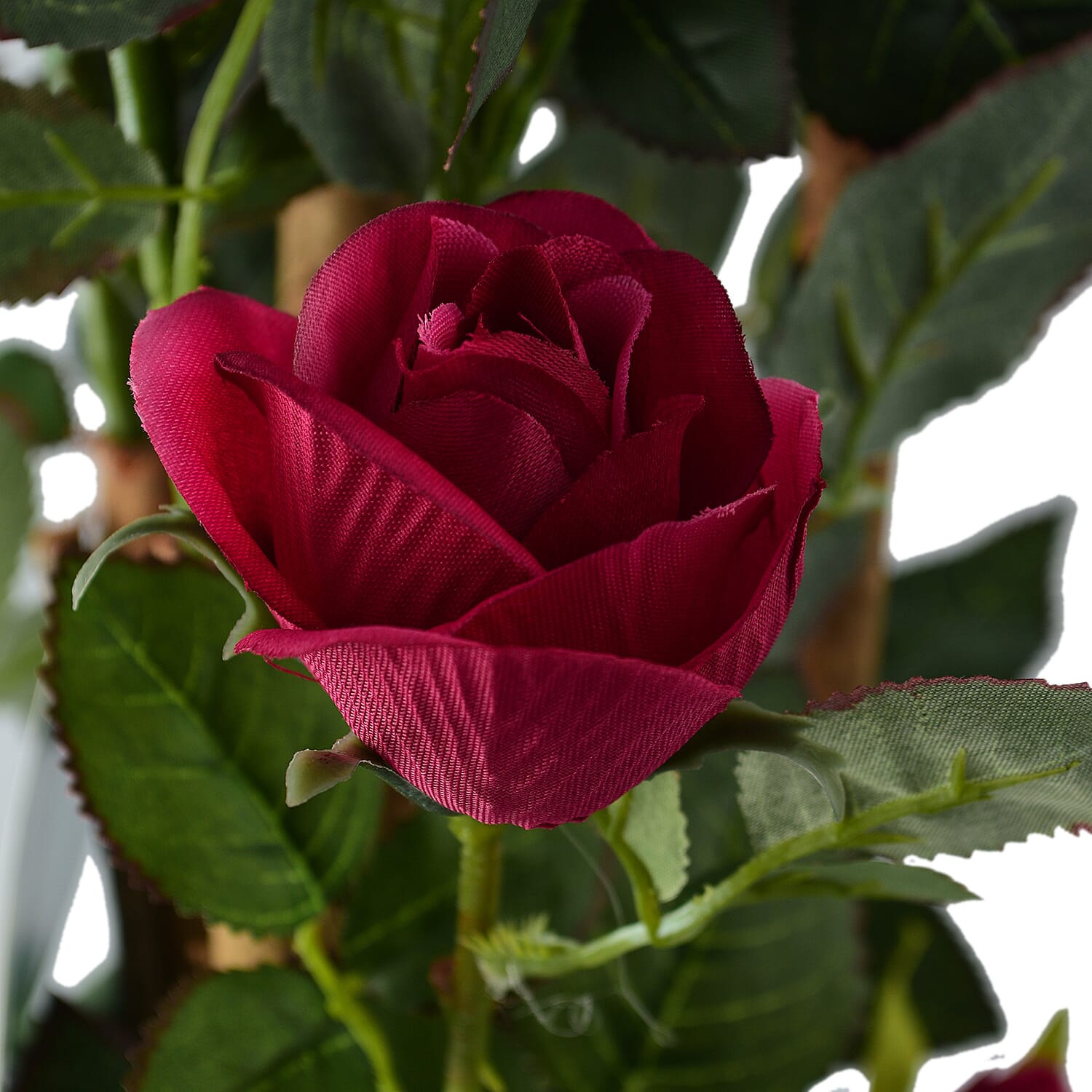 Multi-Stemmed Rose (Size 97x18 cm) - Dark Pink 7512908 3