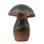 Mushroom Jasper-Small