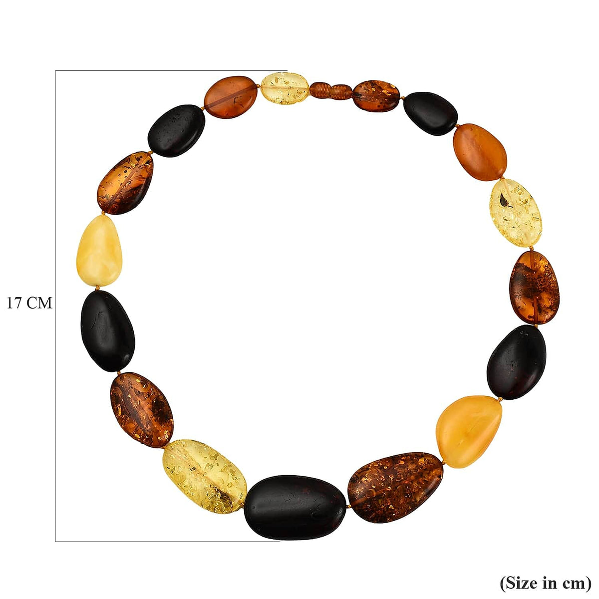 Natural Multi - Colour Baltic Amber Necklace (Size 18) 7832917 4