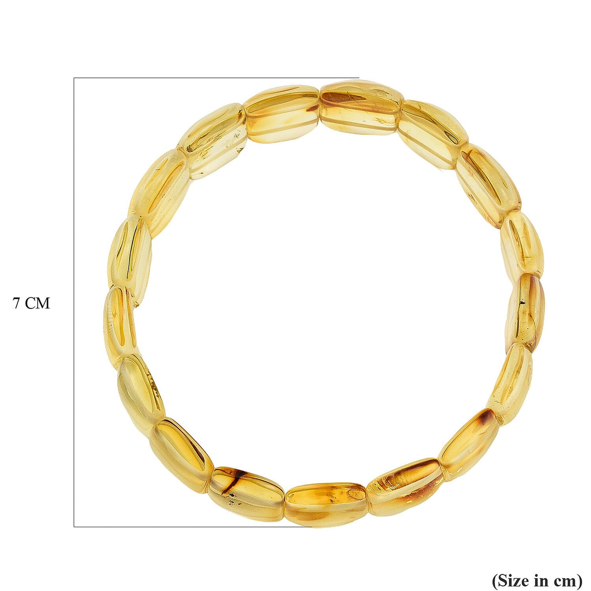 Tucson Find - Natural Yellow Baltic Amber Stretchable Bracelet (Size 7.5) 7832932 4