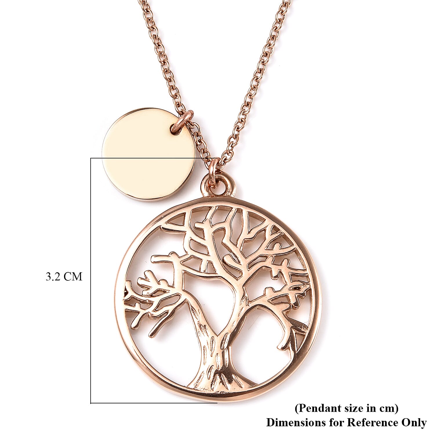 Necklace (Size - 20) in Rose Gold Tone 6487546 3