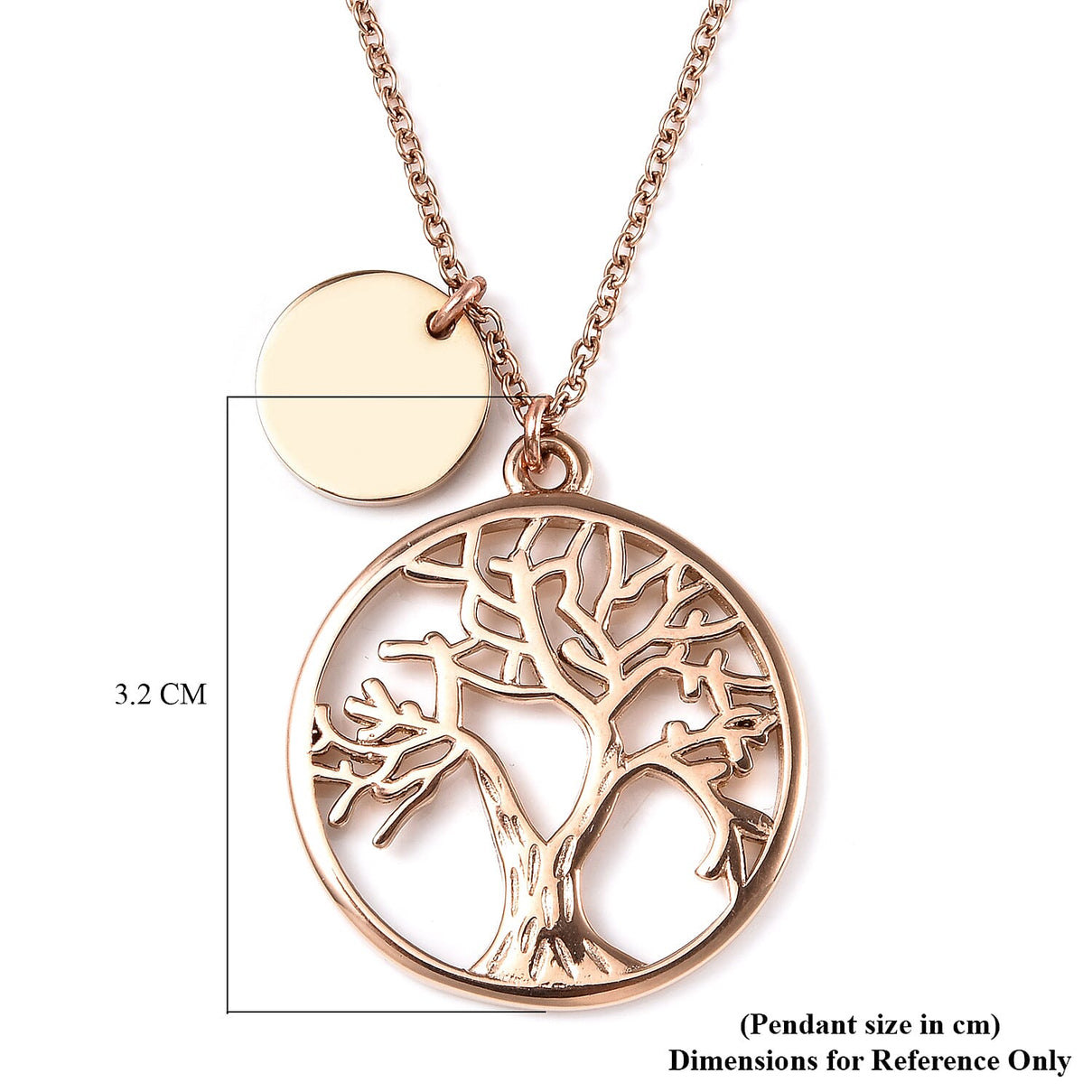 Necklace (Size - 20) in Rose Gold Tone 6487546 7