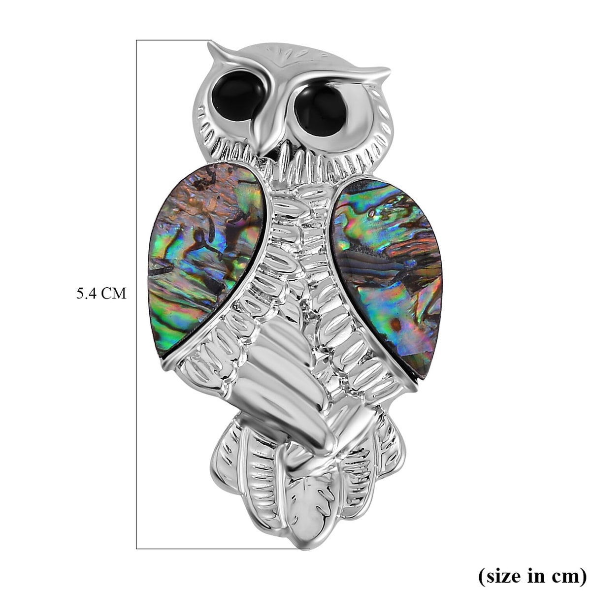 Abalone Shell Enamelled Owl Brooch in Silver Tone 7639091 3