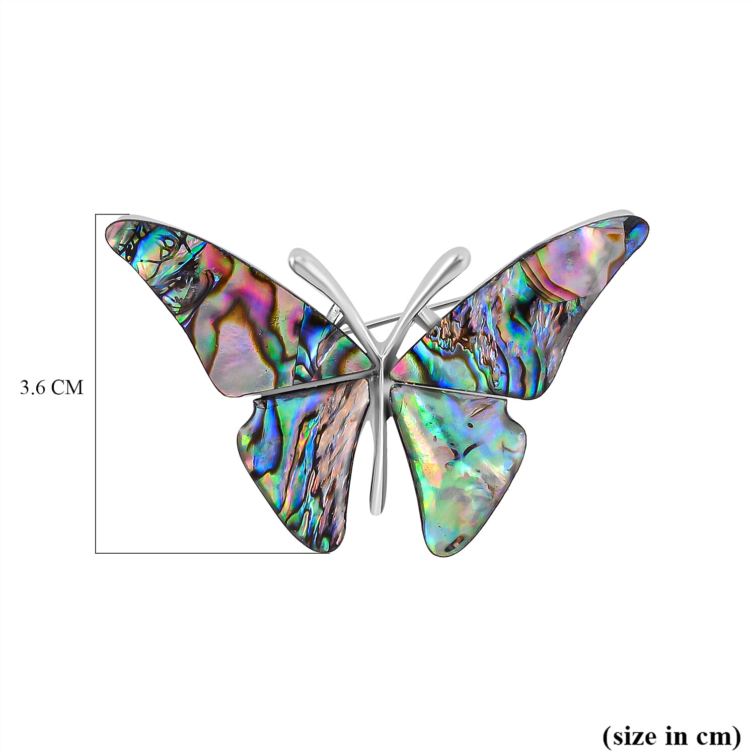 Abalone Shell Butterfly Brooch in Silver Tone 7639553 3