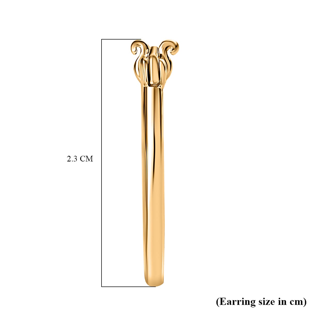 Waterproof Full Hoop Earring in 18K Vermeil Yellow Gold Plating Sterling Silver 7616835 4