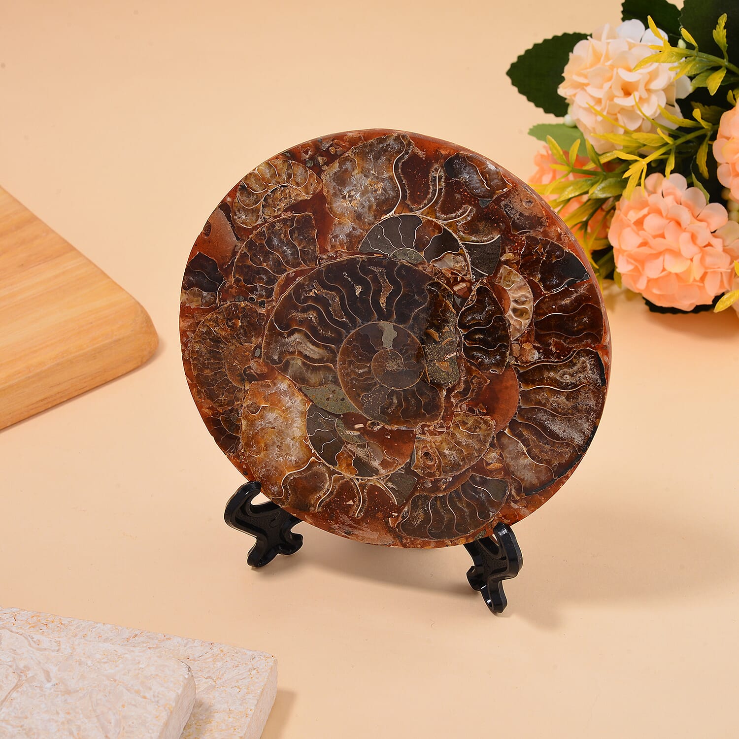 One of a Kind -  Extremely Rare Find Natural Ammonite with Stand 7711915 8