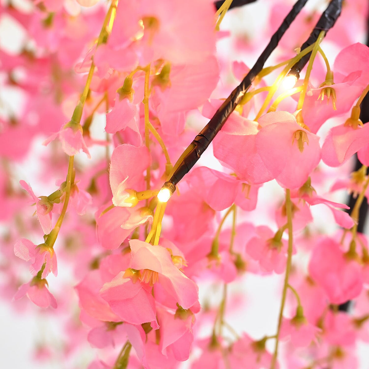Pink Blossom Tree With 32 Warm White LED Lights 7746660 4