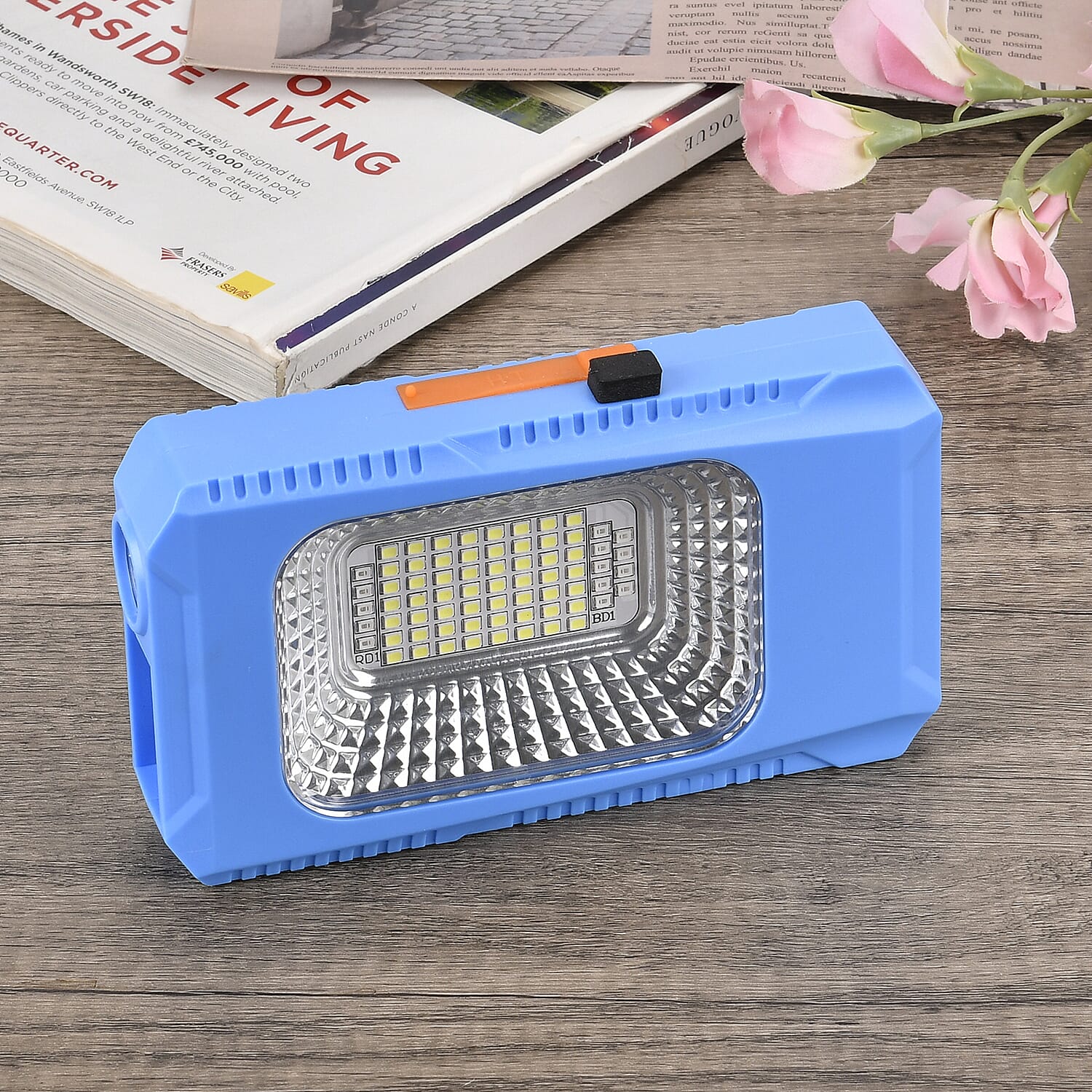 Outdoor LED Solar Camping Light with 6V Power Supply 7755506 2