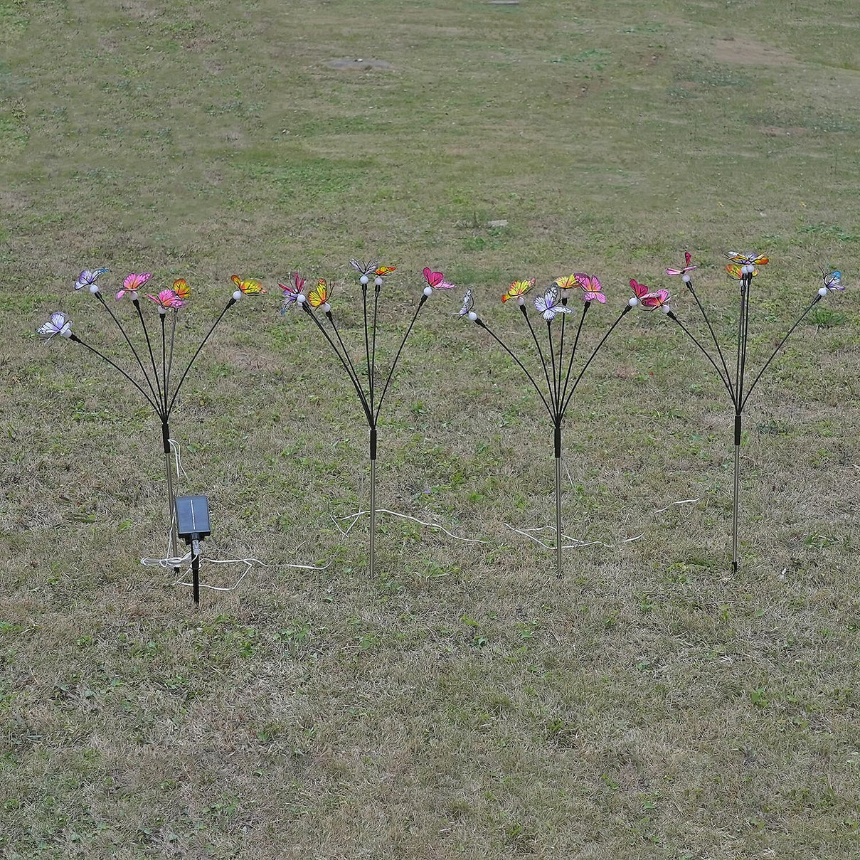 Lowest Price Offer - Set of 4 Solar Butterfly Lights- 6 Warm LEDs, 8 Lighting Modes &amp; 500mah Battery Incl. (70cm) - Black 8042532 2