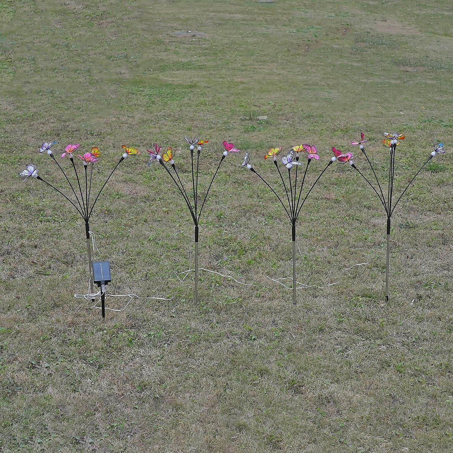 Lowest Price Offer - Set of 4 Solar Butterfly Lights- 6 Warm LEDs, 8 Lighting Modes &amp; 500mah Battery Incl. (70cm) - Black 8042532 2