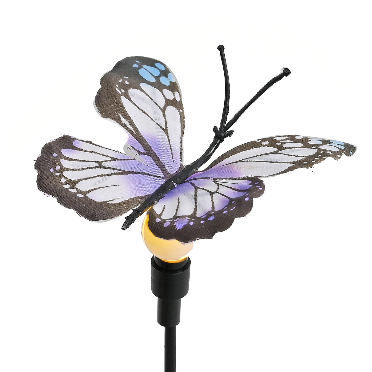 Lowest Price Offer - Set of 4 Solar Butterfly Lights- 6 Warm LEDs, 8 Lighting Modes &amp; 500mah Battery Incl. (70cm) - Black 8042532 5