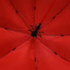 Auto-Open Stick Umbrella with Red Border (97.5 cm) - Black
