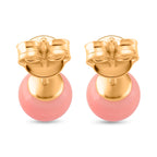 Queen Conch Shell Earrings with Push Backs in 14K Yellow Gold Plated Sterling Silver 2.50 Ct.