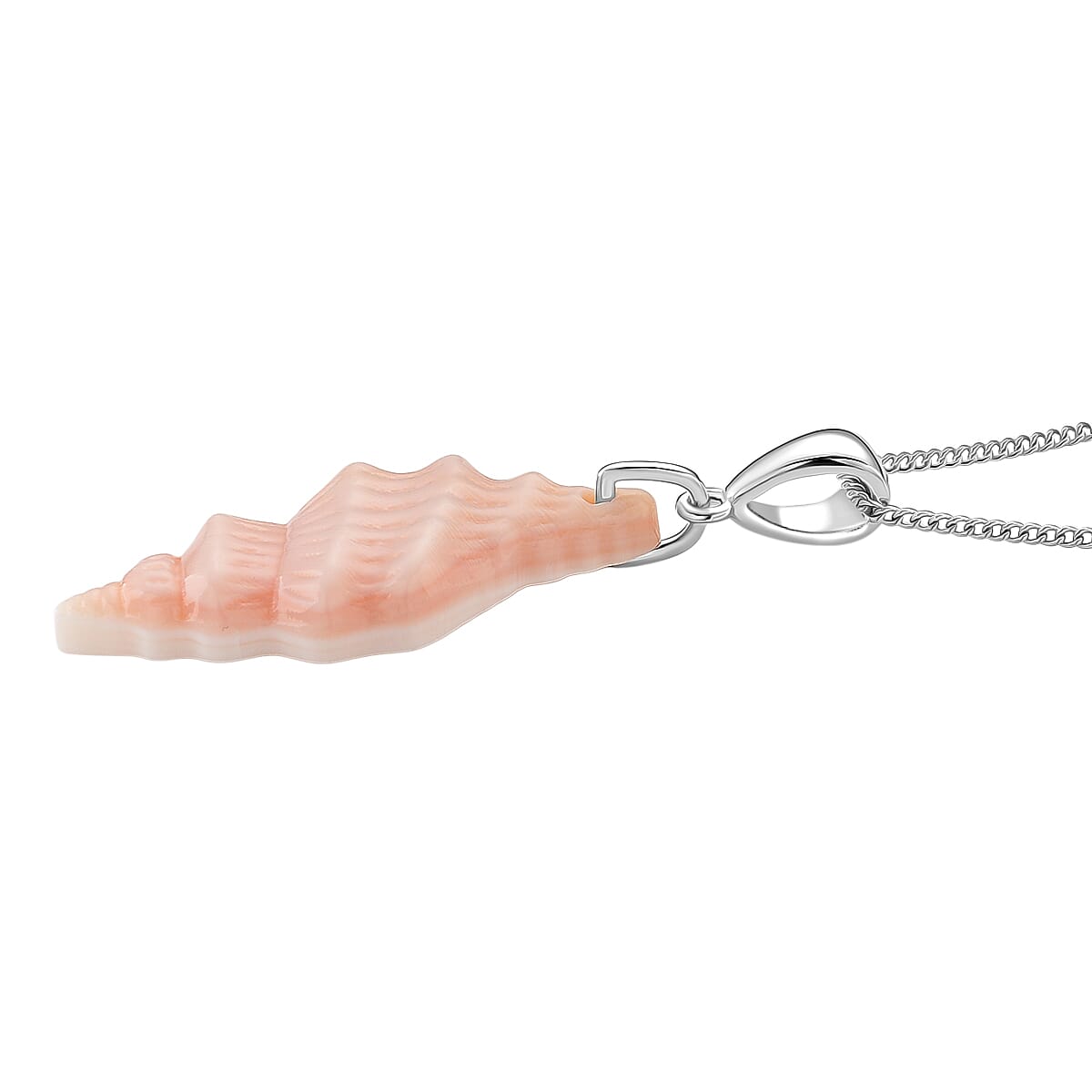 Queen Conch Shell Pendant with Chain (Size 18) in Rhodium Overlay Sterling Silver 12.12 Ct. 4415654 3