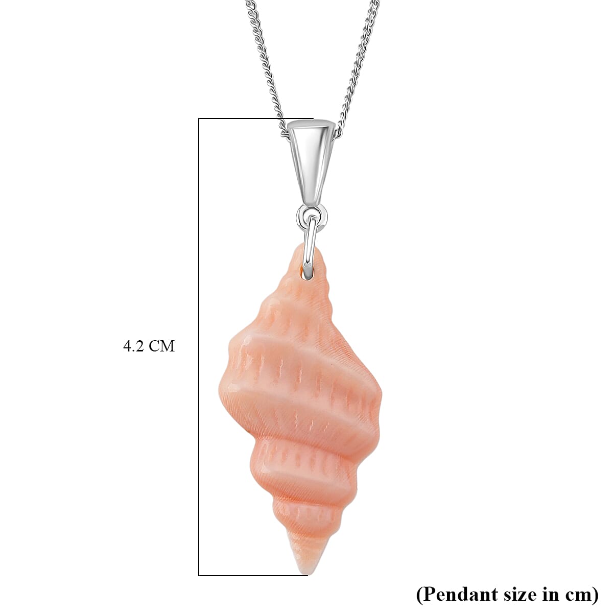 Queen Conch Shell Pendant with Chain (Size 18) in Rhodium Overlay Sterling Silver 12.12 Ct. 4415654 6