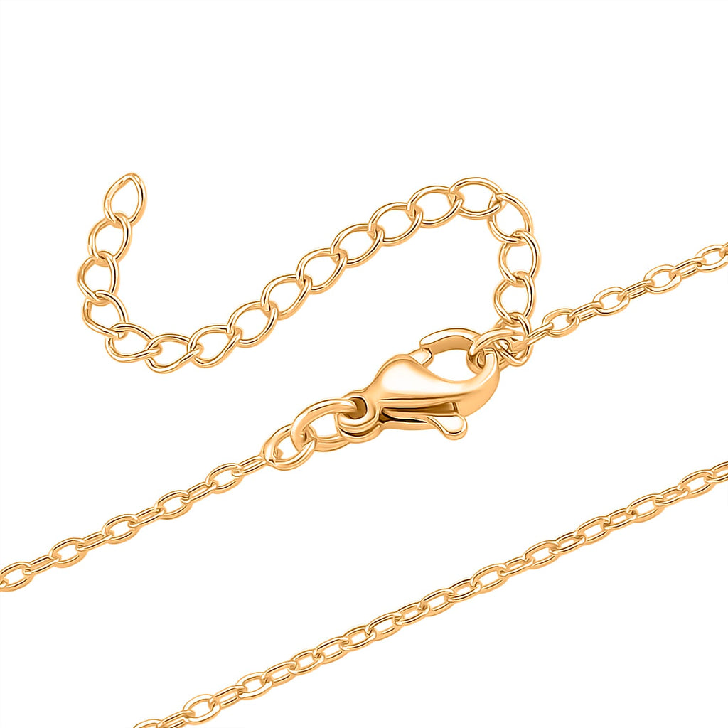 Pixiu Pendant with Chain (Size - 20-2 Inch Ext)