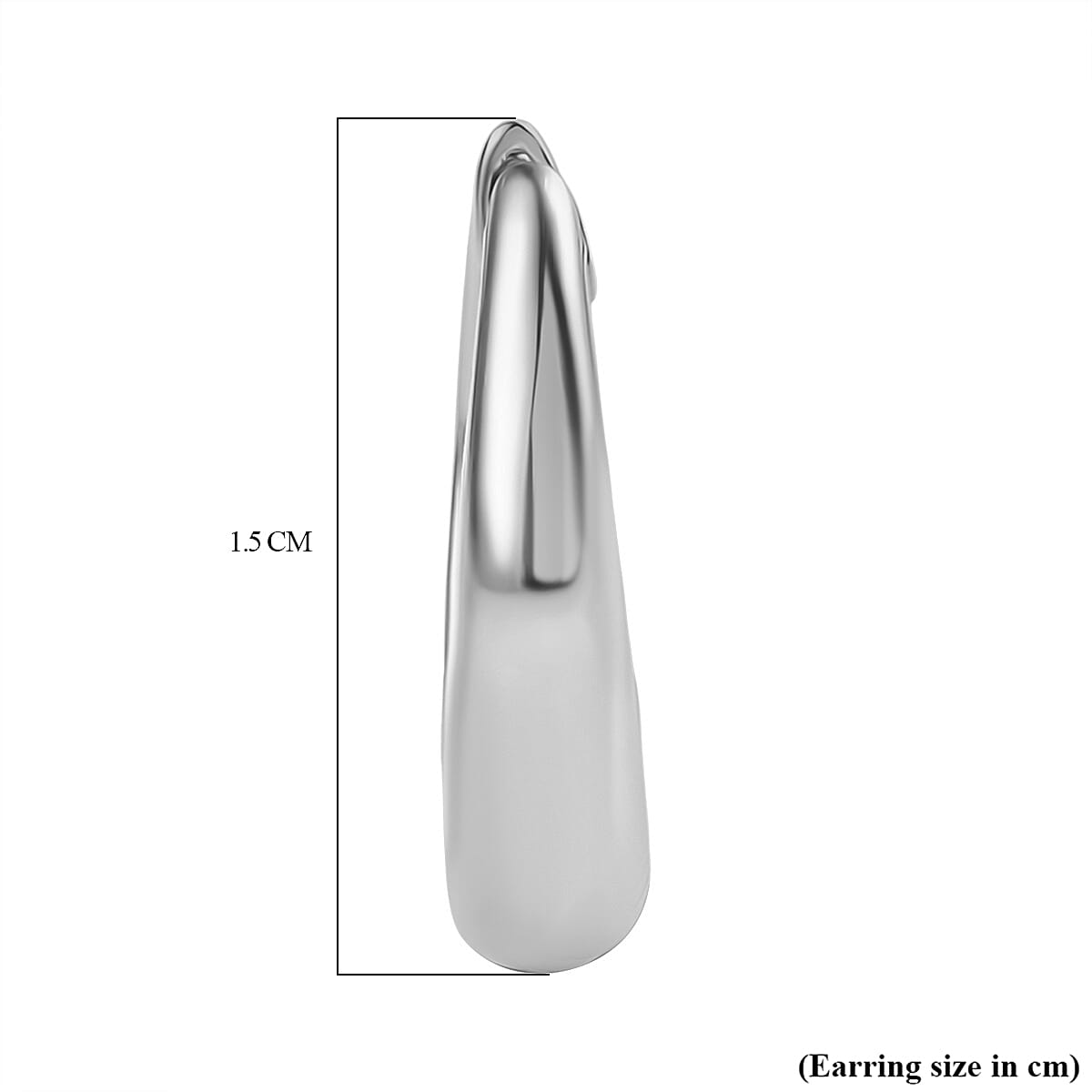 Platinum Overlay Sterling Silver Earring 8086806 5