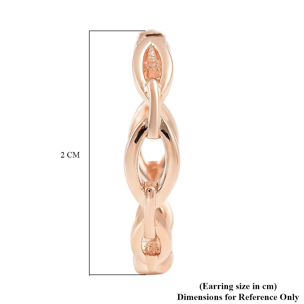 RACHEL GALLEY Tesoro Collection Rose Gold Overlay Sterling Silver Hoop Earrings 3861403 5