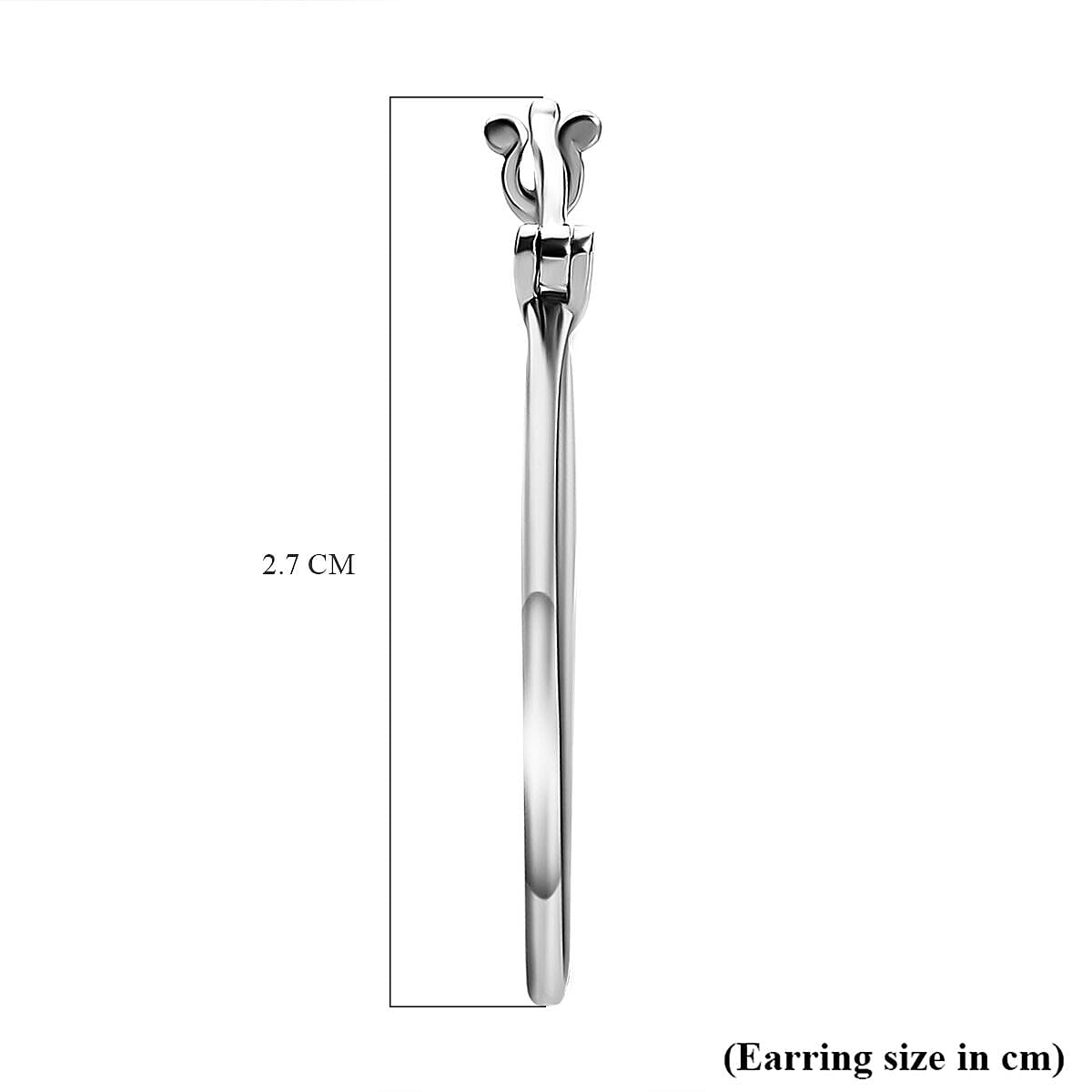 RHAPSODY High Finish Hoop Earrings in 950 Platinum 3.64 Grams 3380075 5