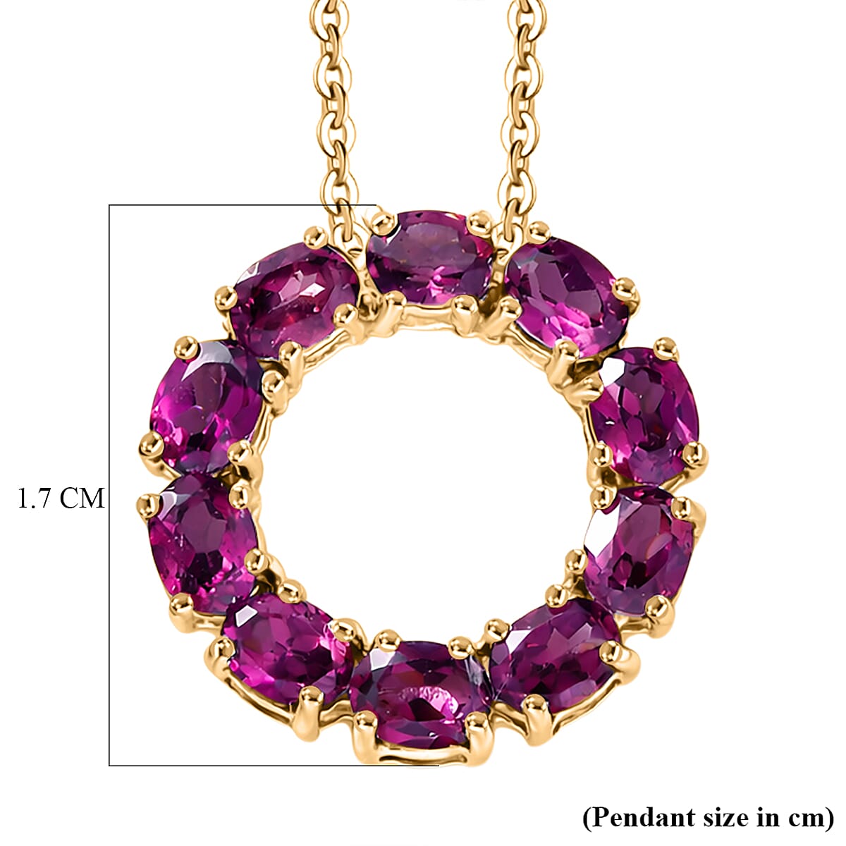 D'Joy Natural Radiant Ember Garnet Circle Pendant with Chain (Size 20) in Yellow Gold Plated Sterling Silver 2.33 Ct. 4450231 6