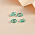 Rare Find AAA Boyaca Colombian Emerald Octagon 1ct in Total