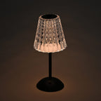 Table Lamp (Size - One Size) - Transparent & Black