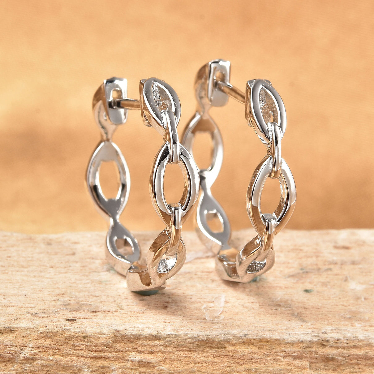 Rhodium Overlay Sterling Silver Earring 3682056 2
