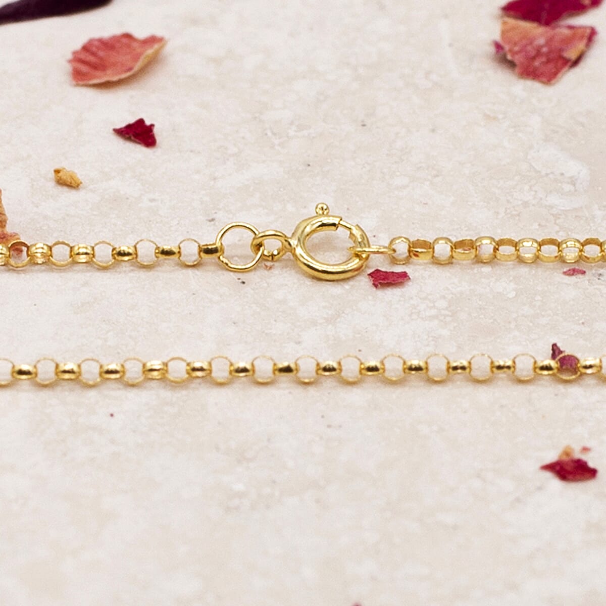 Round Belcher Chain 20 Inch in 9K Yellow Gold 7578838 1