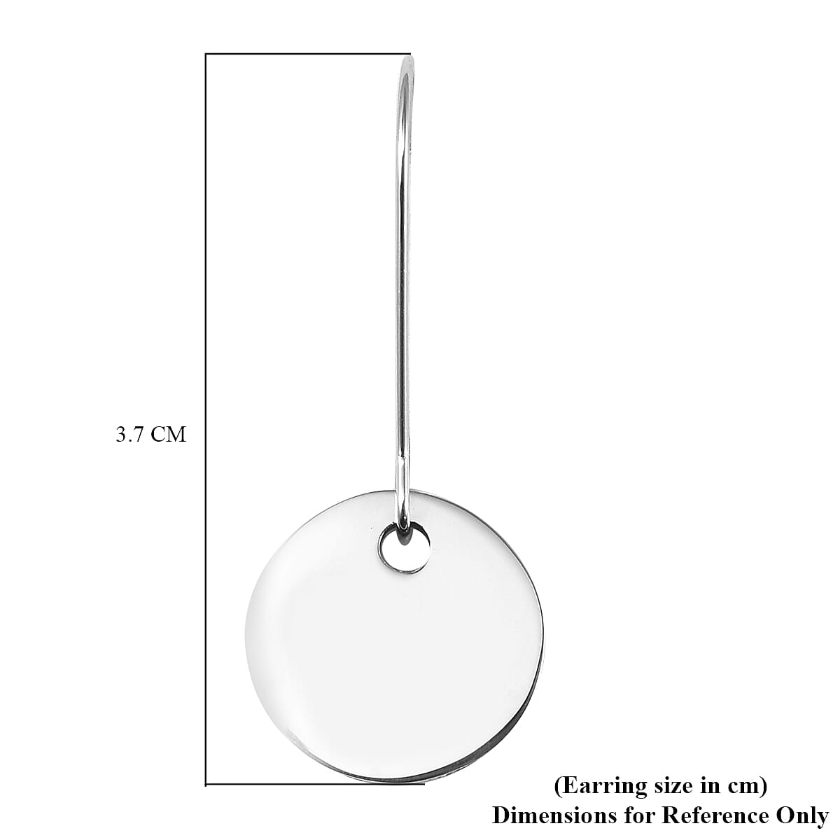 Round Charm Earrings with Kidney Wire in Silver Tone 6339643 4