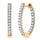 Moissanite Hoop Earrings