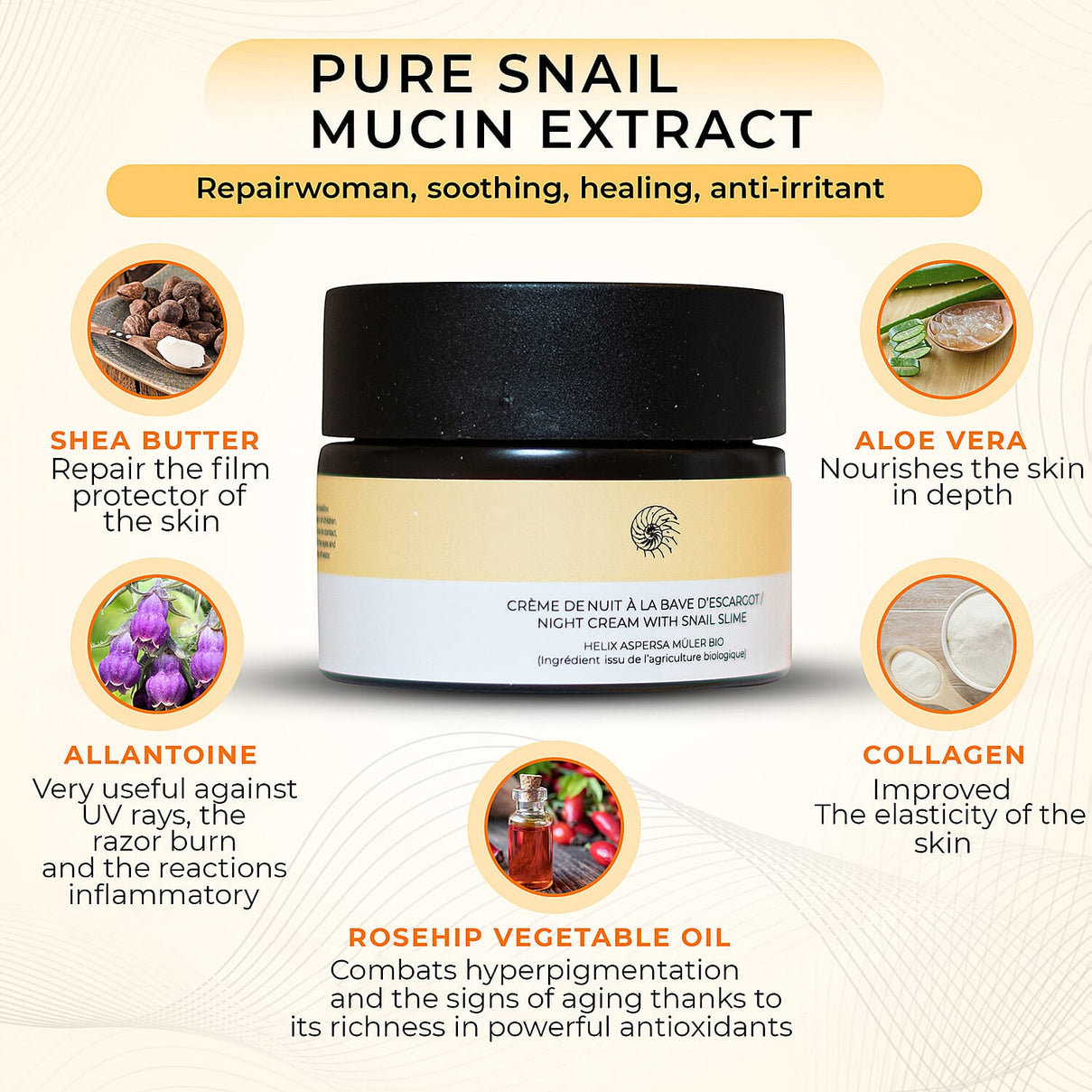 SKINEANCE Snail Slime Regenerating Night Cream - 50ml 8149127 2