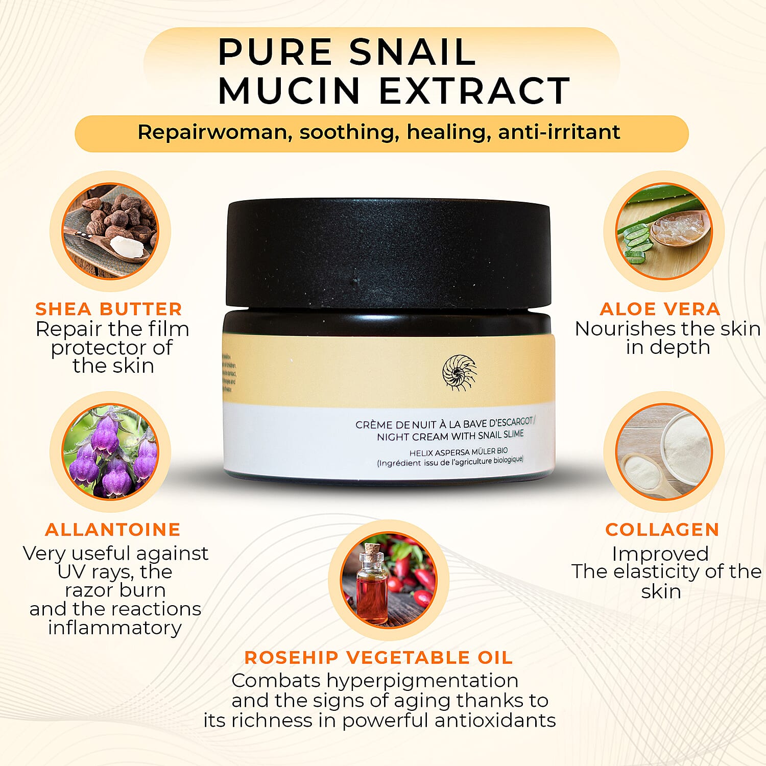 SKINEANCE Snail Slime Regenerating Night Cream - 50ml 8149127 2
