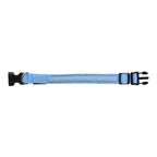 Rechargeable Set of 2 Adjustable LED Lighted Dog Collar with Clip Closure (Size L) - Blue