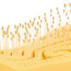 Set of 3 Detangling Hair Brush - Yellow