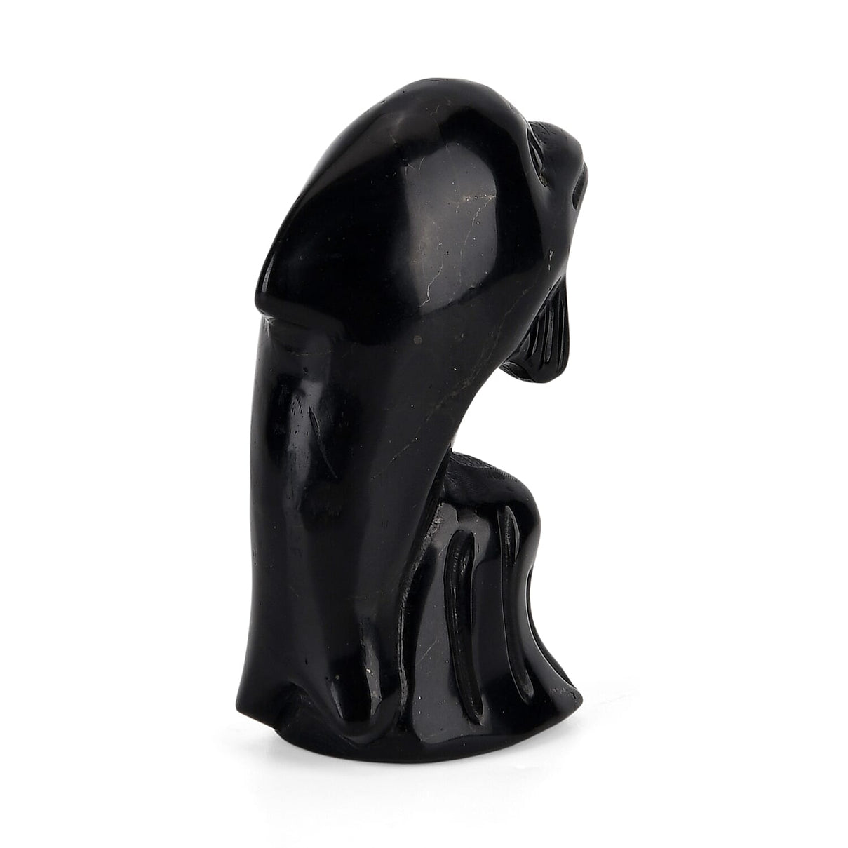Natural Shungite Dolphin Carving 548.00Ct 8430222 5