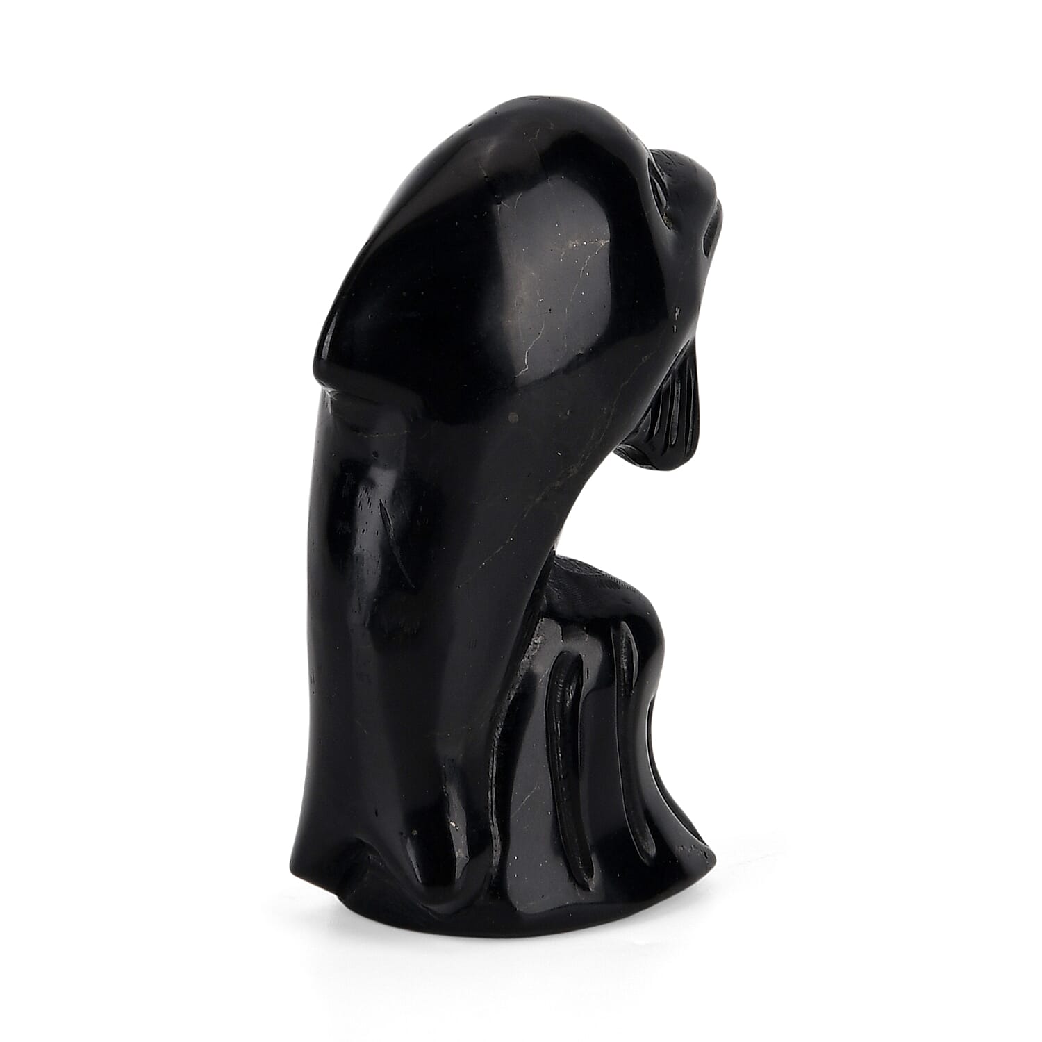 Natural Shungite Dolphin Carving 548.00Ct 8430222 5