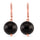 Shungite Earrings