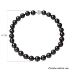 Rare Size Natural Shungite Necklace (Size - 20) With Rhodium Overlay Sterling Silver Magnetic Clasp 750.00 Ct.