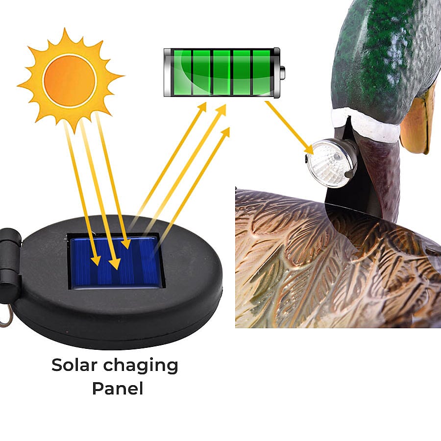 Solar-Powered Garden Birdbath for Birds Garden Accessories - Duck 6064113 4